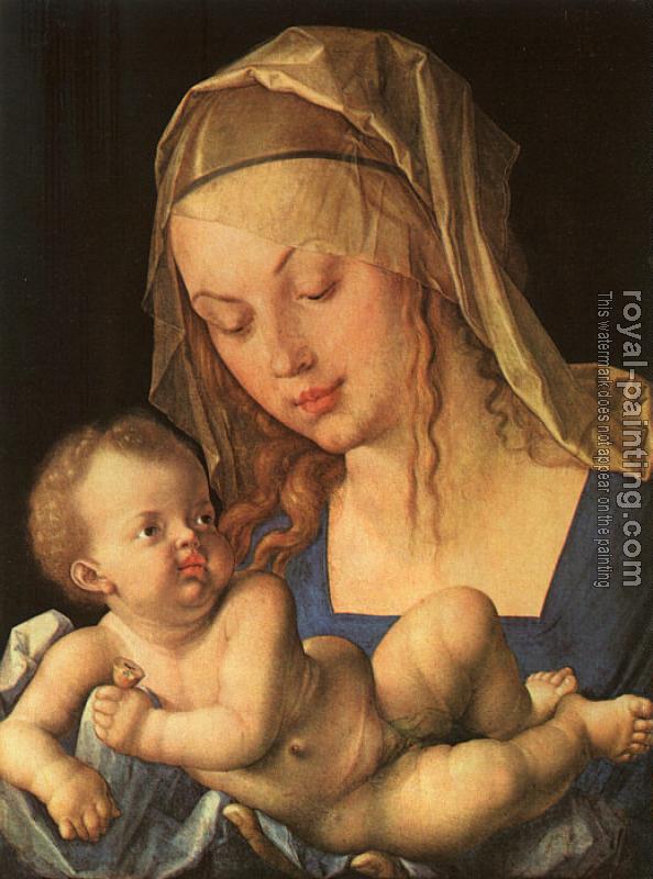 Albrecht Durer : Madonna and Child II